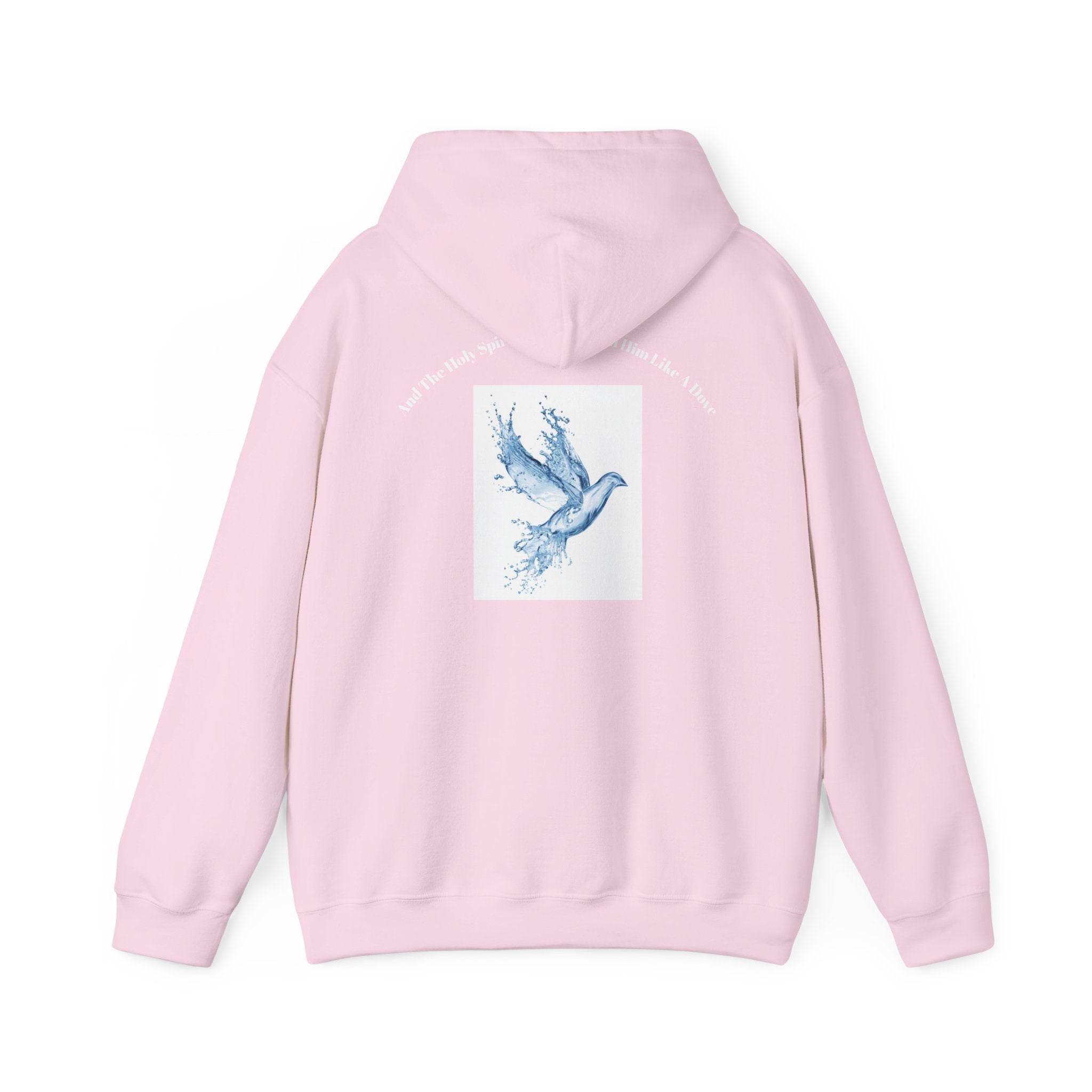 Luke 3:22 Hoodie unisex