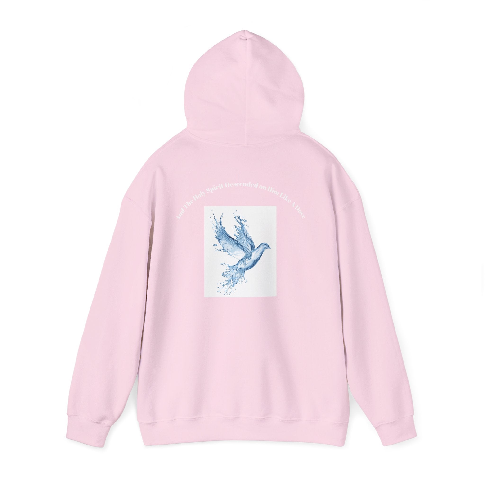 Luke 3:22 Hoodie unisex