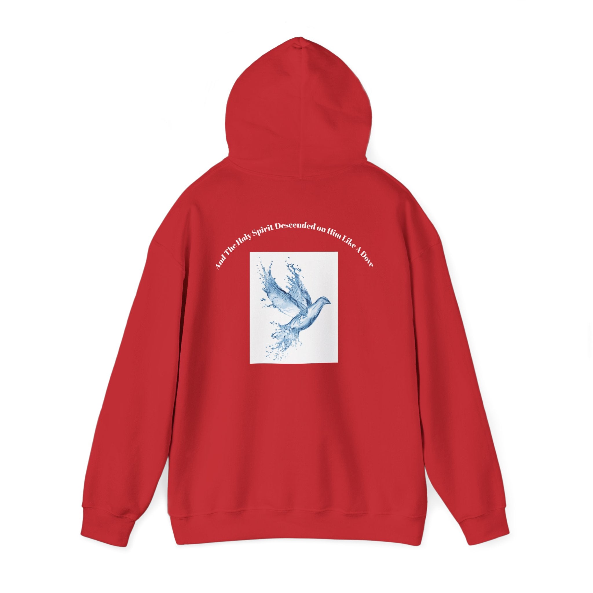 Luke 3:22 Hoodie unisex