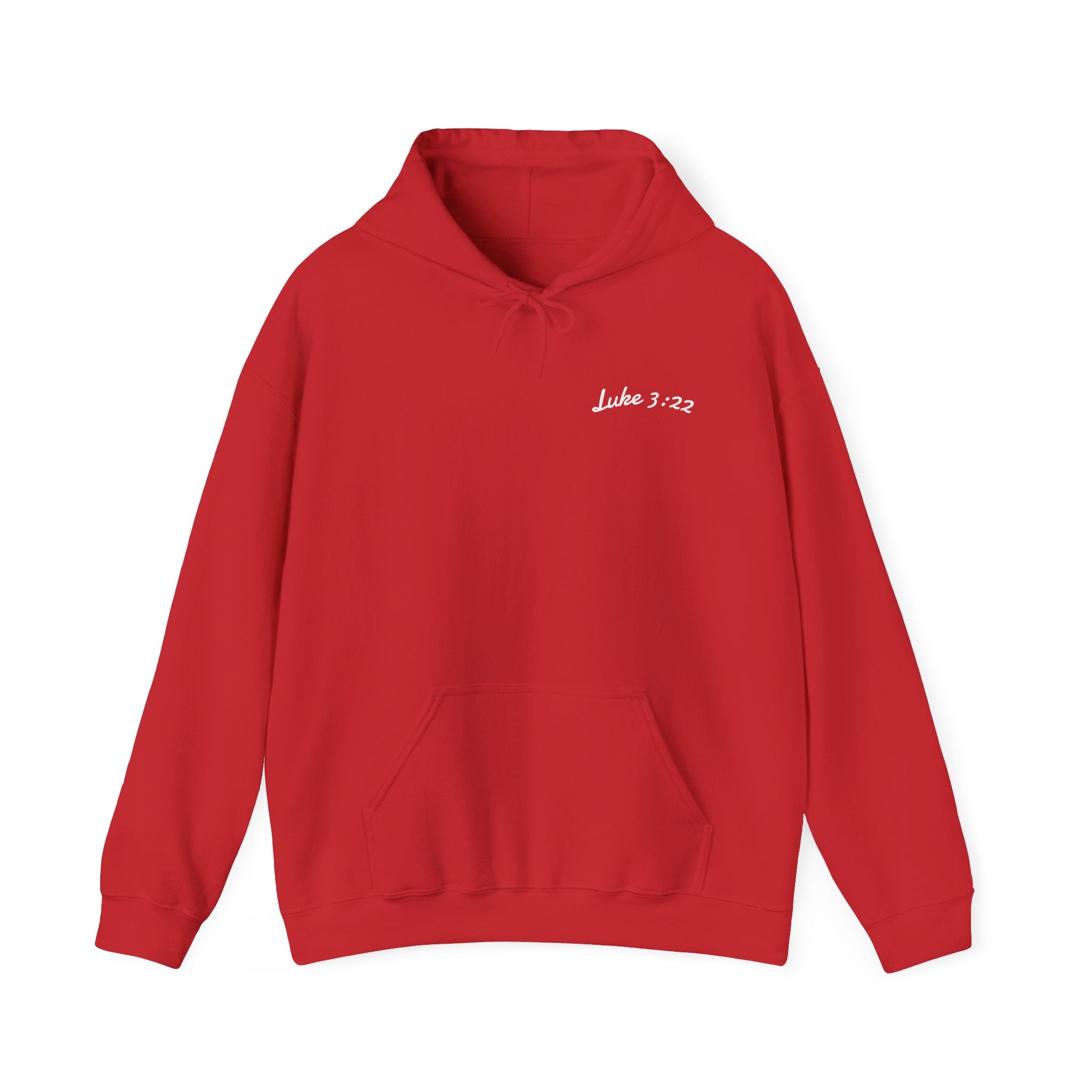 Luke 3:22 Hoodie unisex