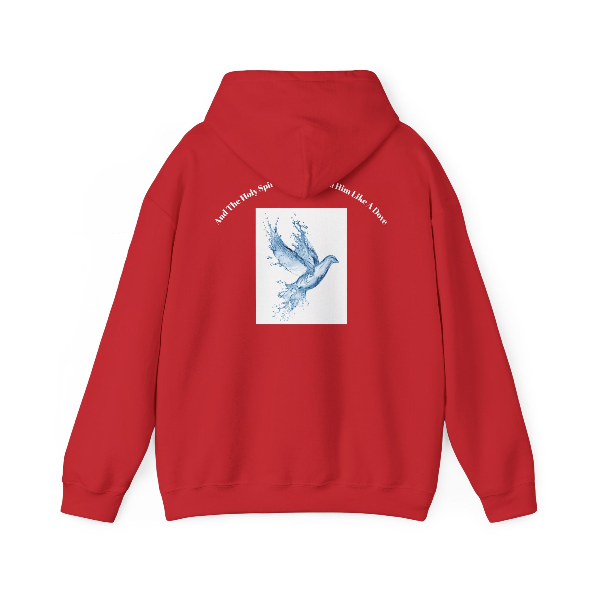 Luke 3:22 Hoodie unisex