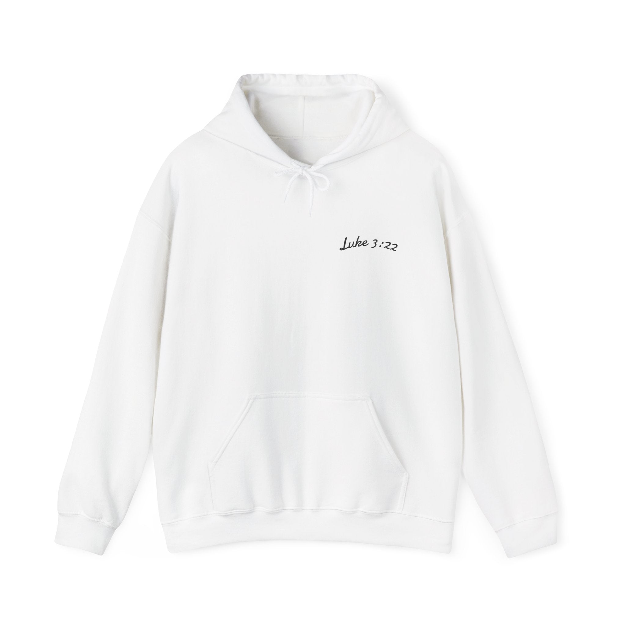 Luke 3:22 Hoodie unisex