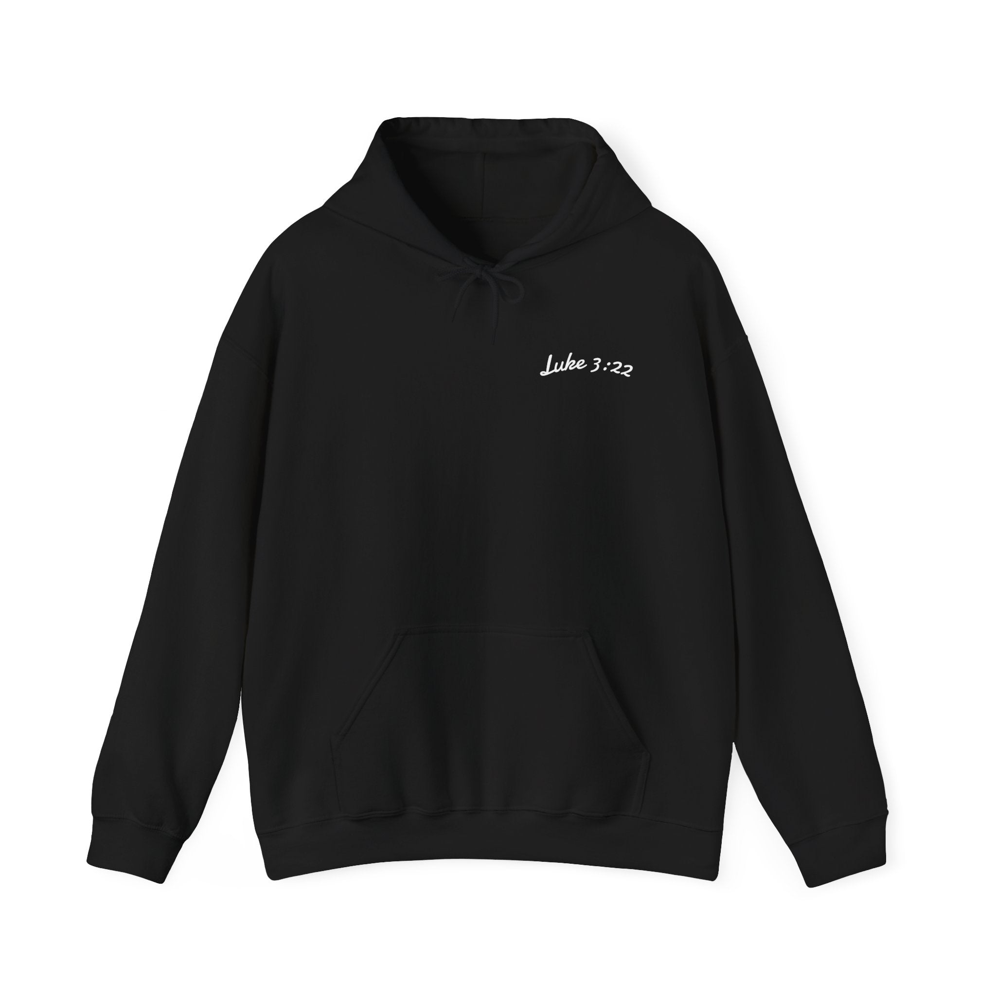 Luke 3:22 Hoodie unisex