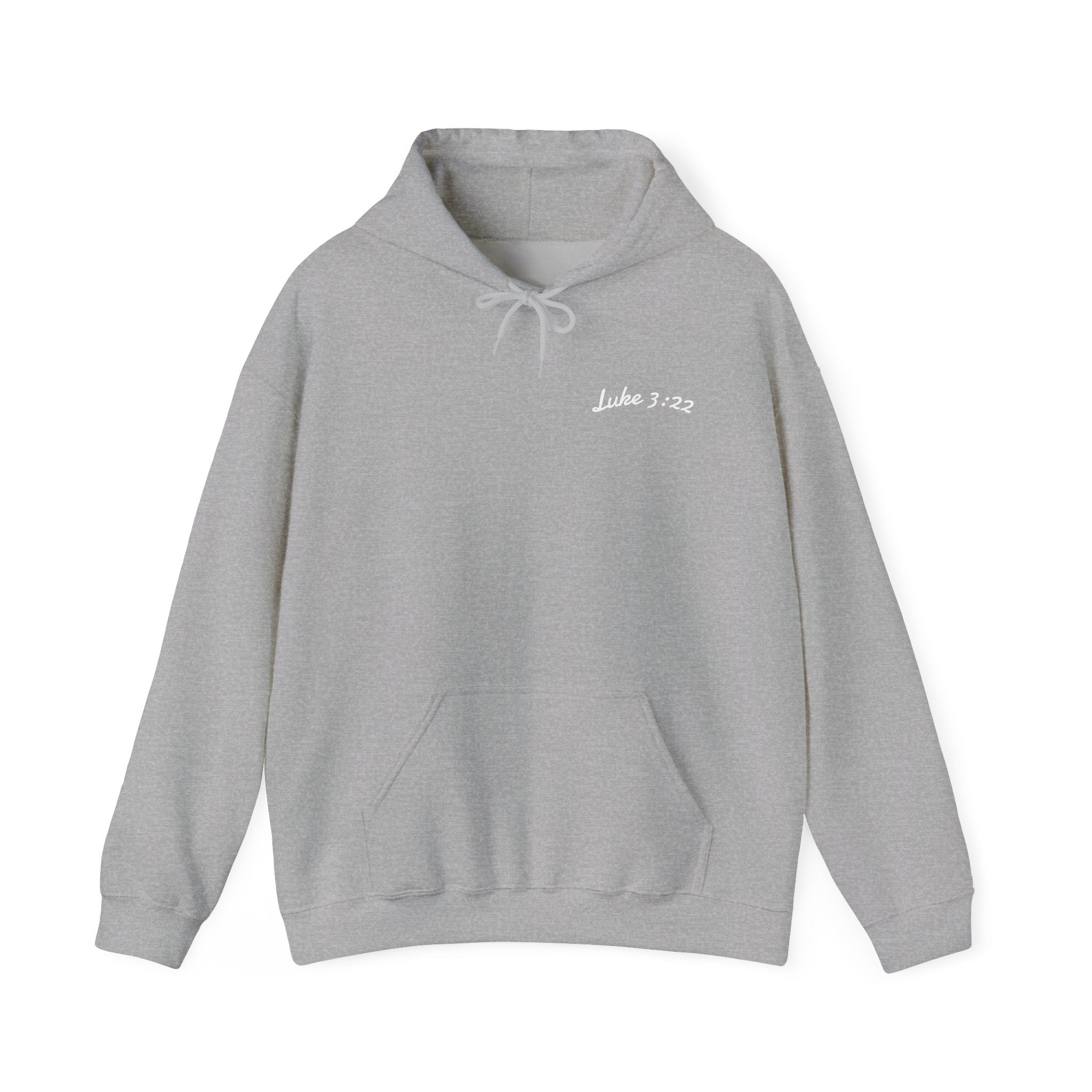 Luke 3:22 Hoodie unisex