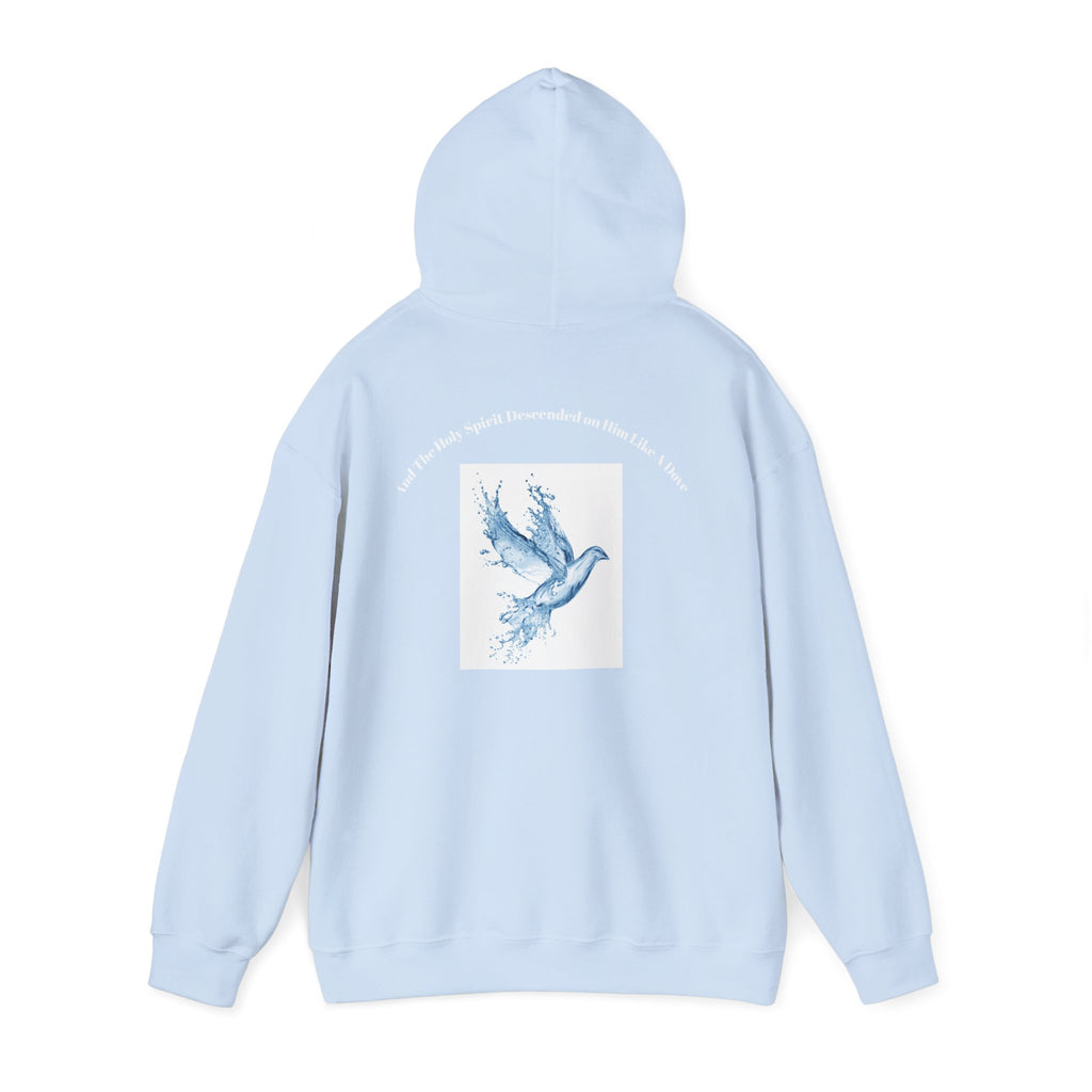 Luke 3:22 Hoodie unisex