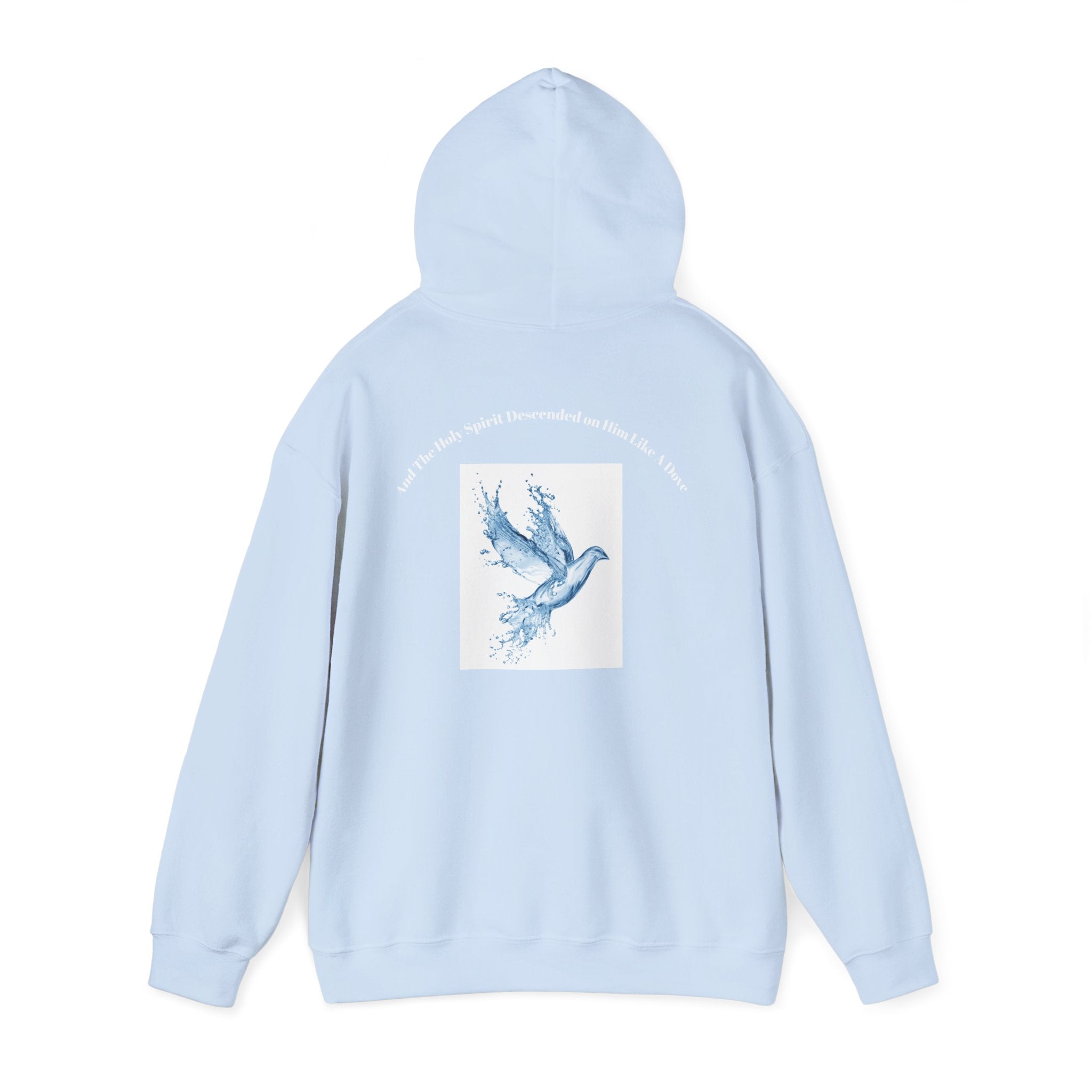 Luke 3:22 Hoodie unisex