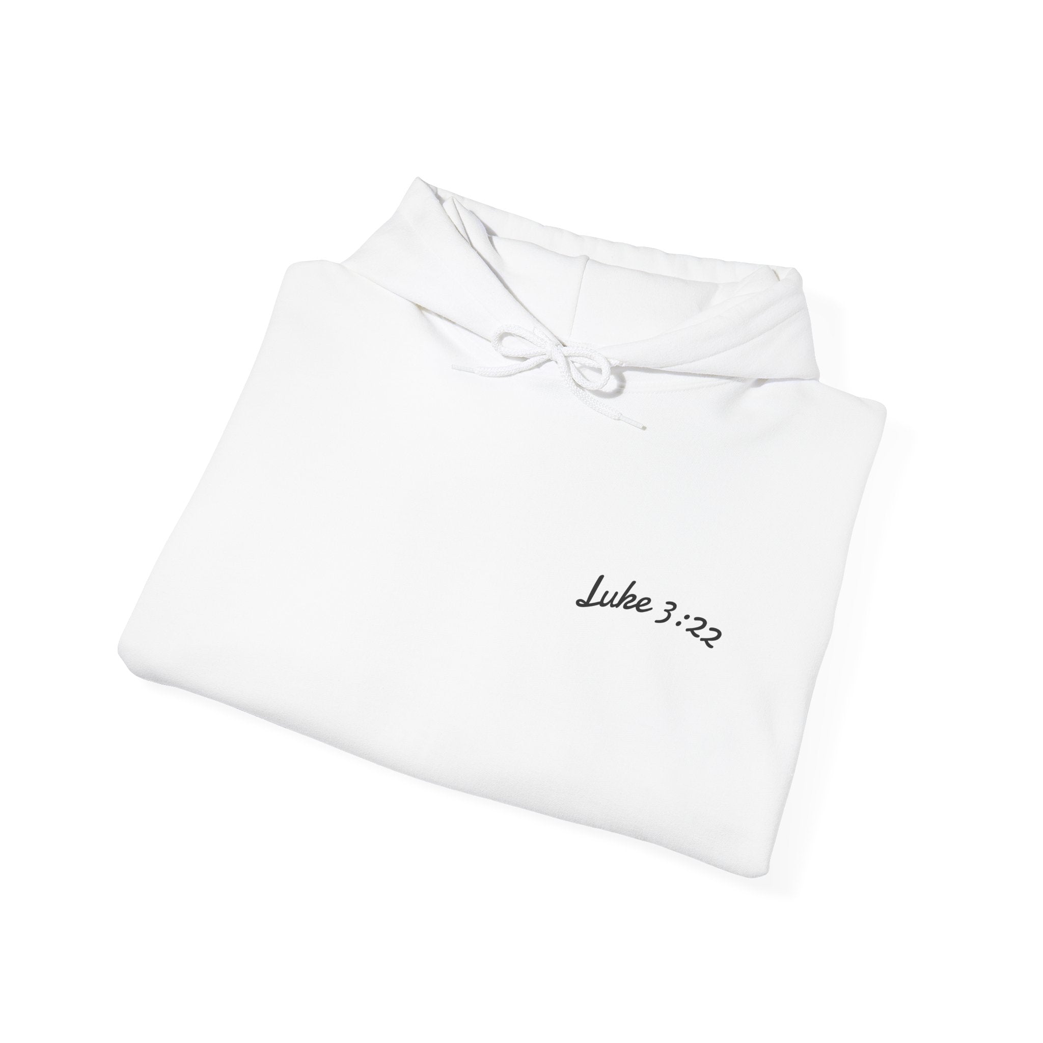 Luke 3:22 Hoodie unisex
