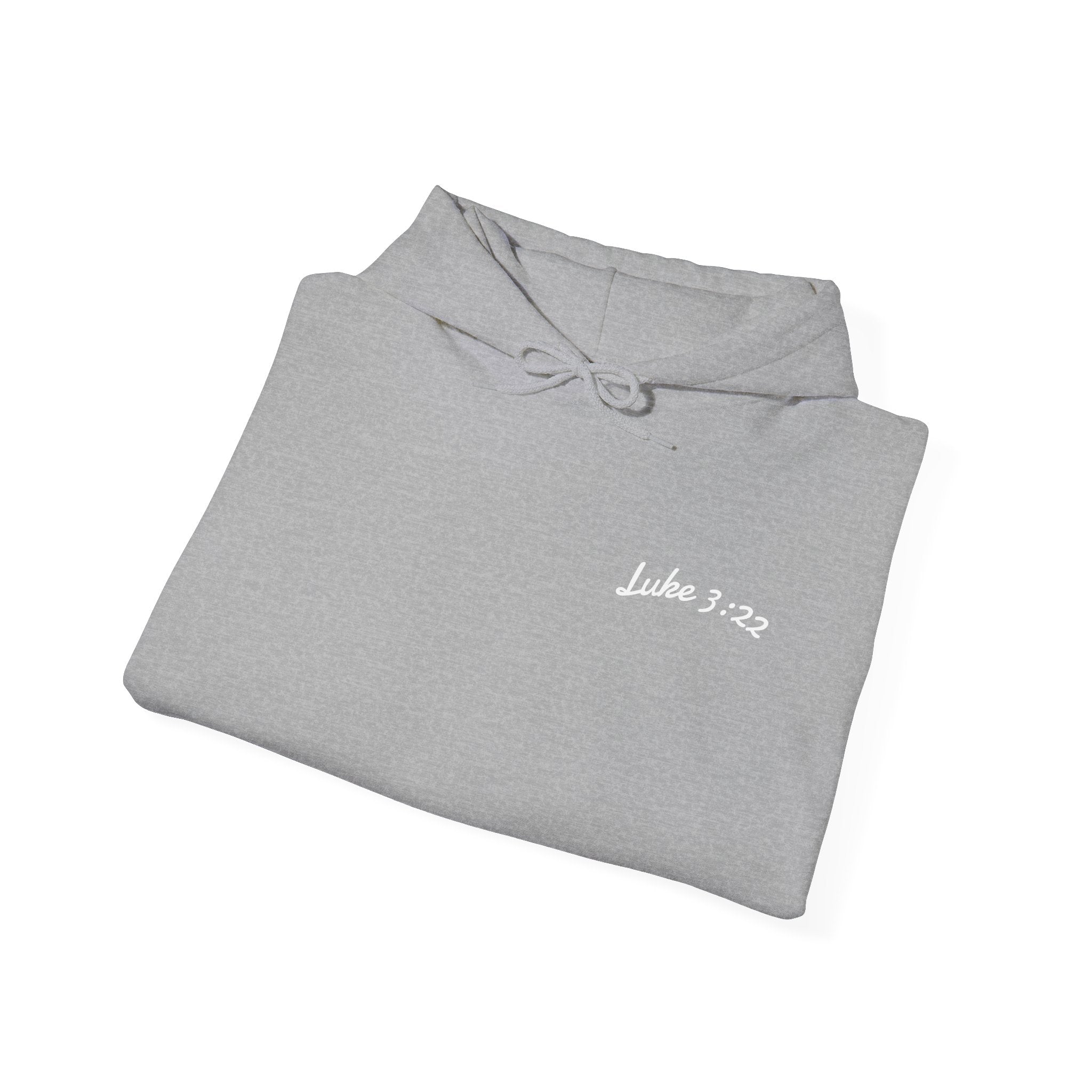 Luke 3:22 Hoodie unisex