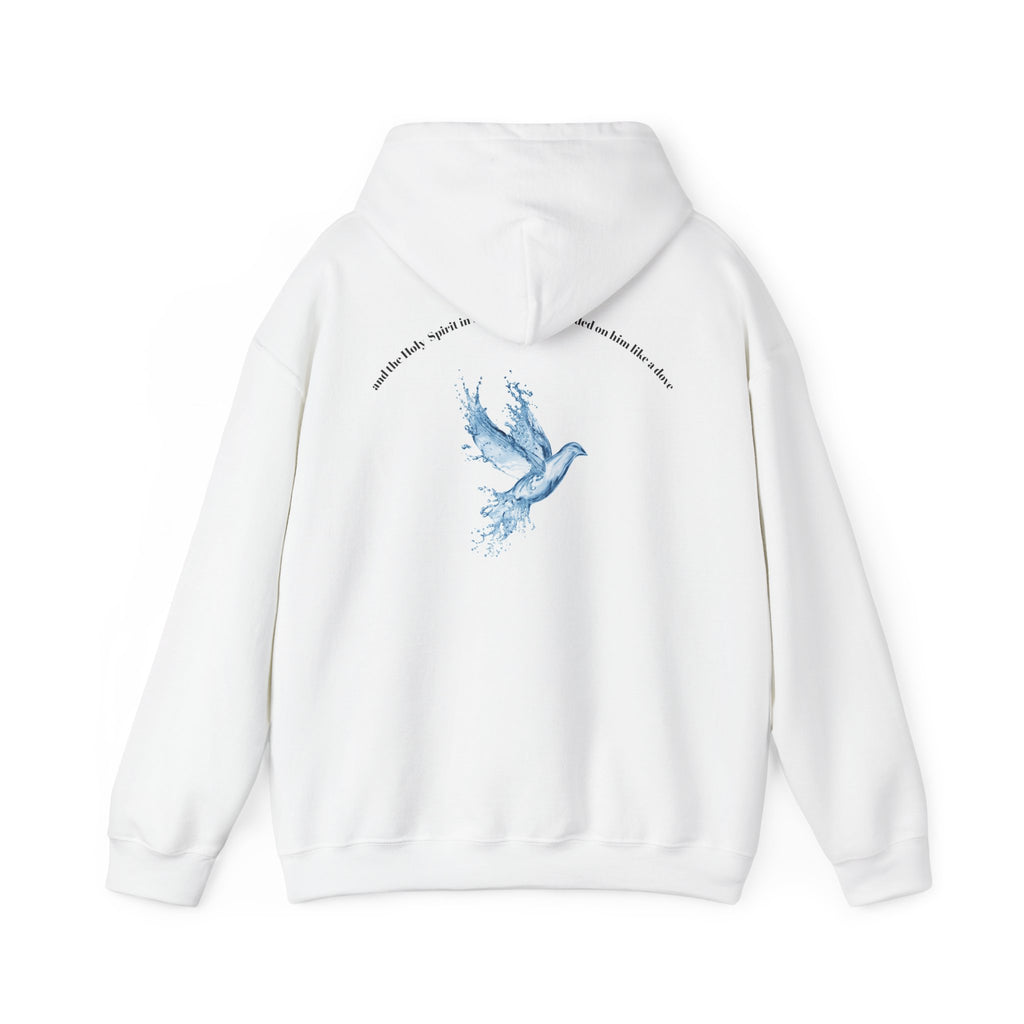 Luke 3:22 Hoodie unisex