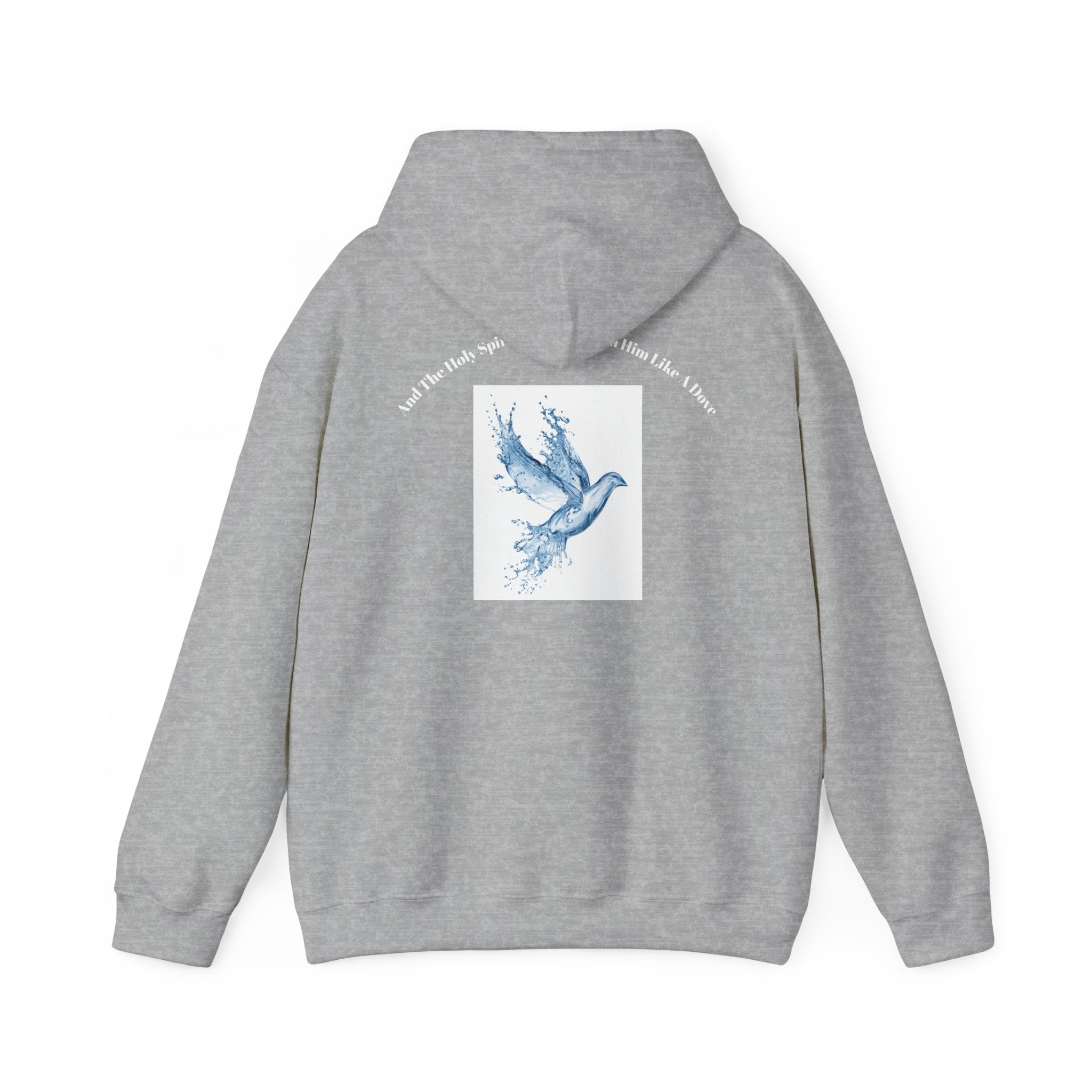 Luke 3:22 Hoodie unisex
