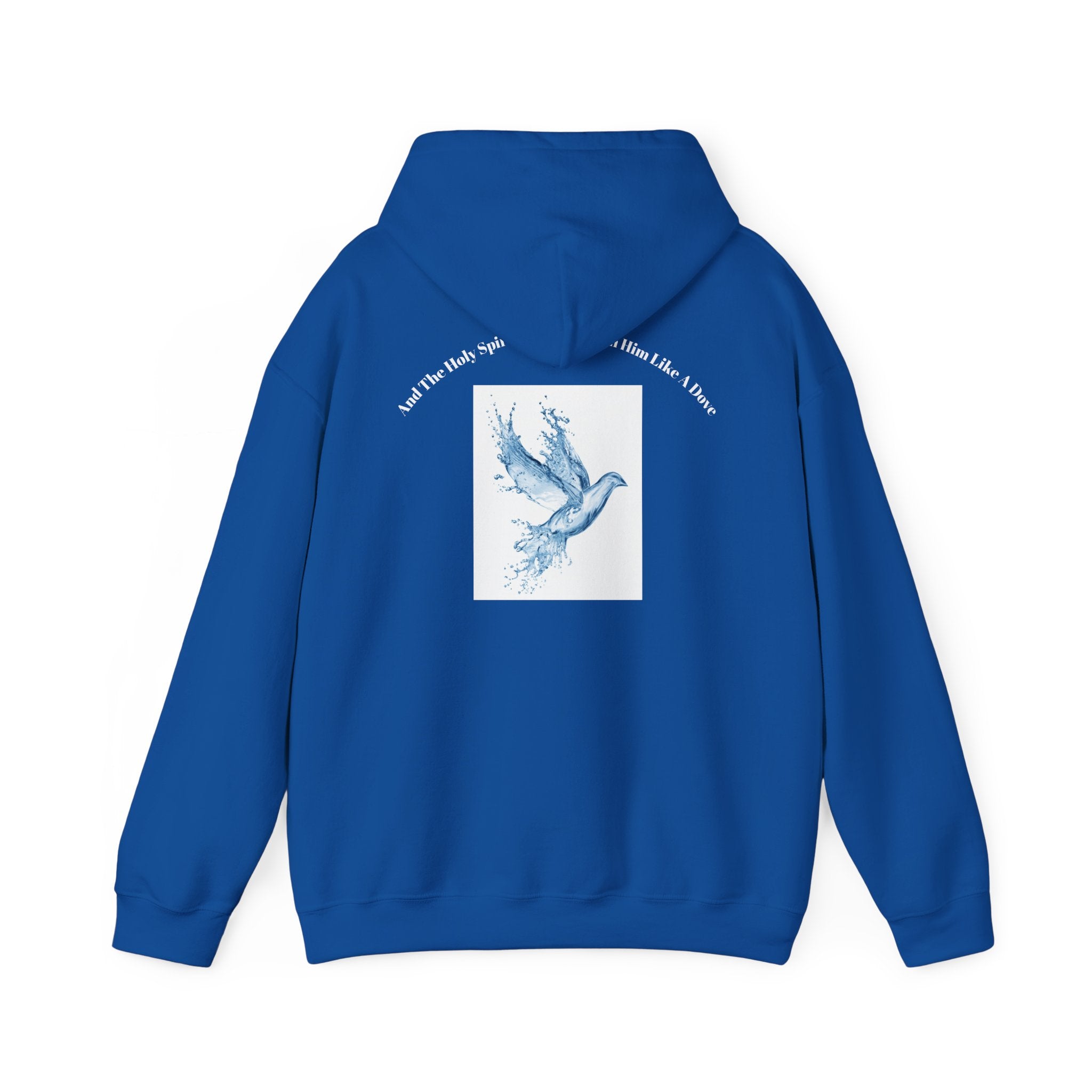 Luke 3:22 Hoodie unisex