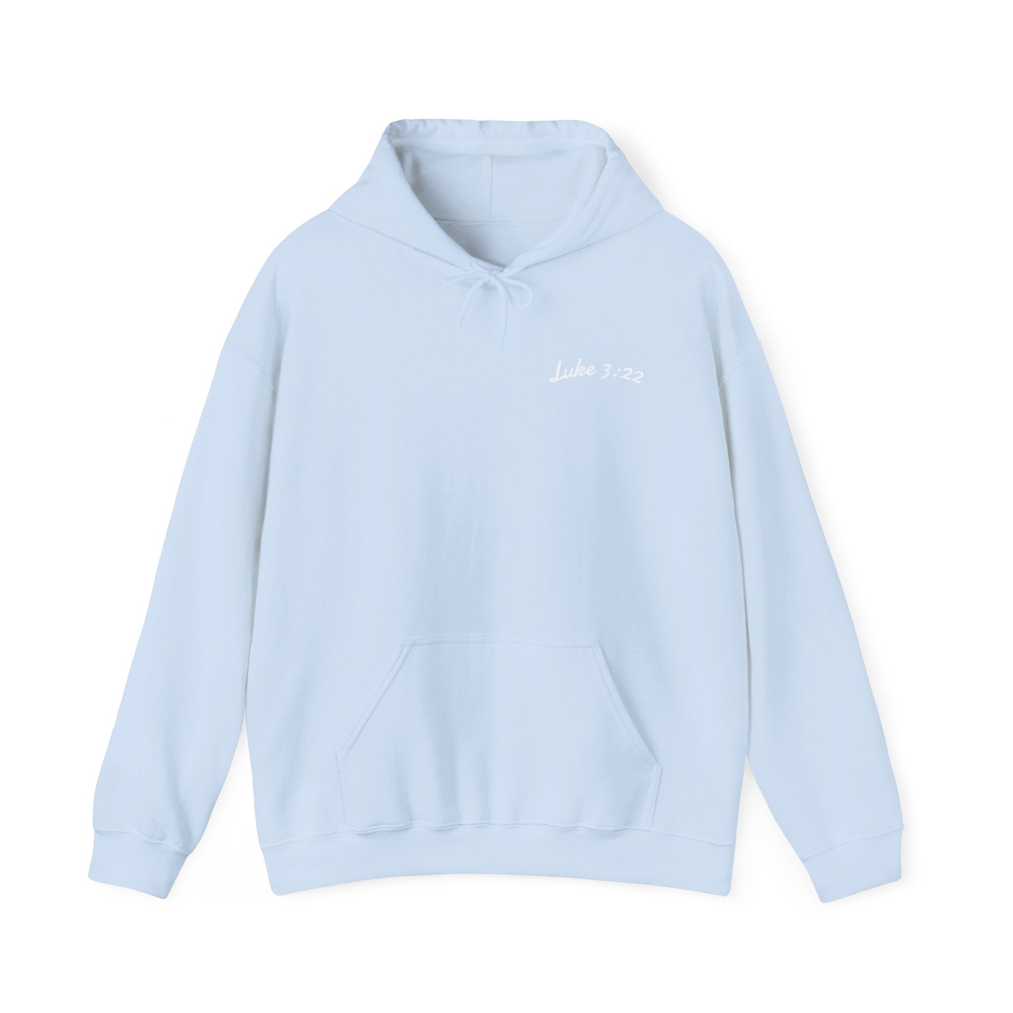 Luke 3:22 Hoodie unisex