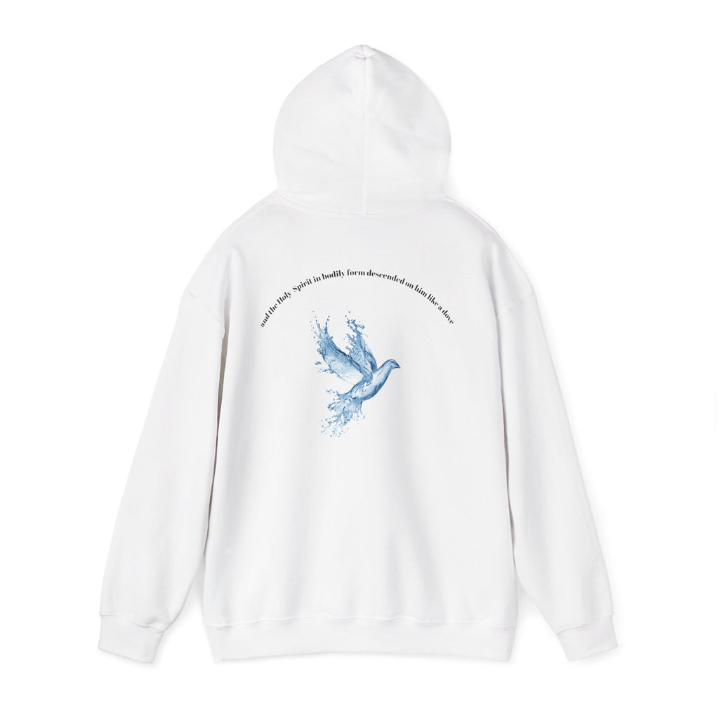 Luke 3:22 Hoodie unisex