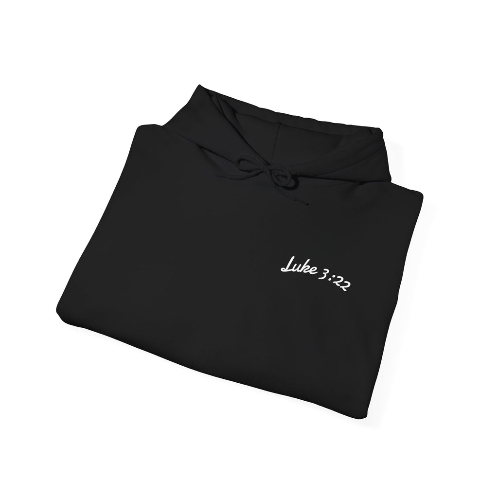 Luke 3:22 Hoodie unisex