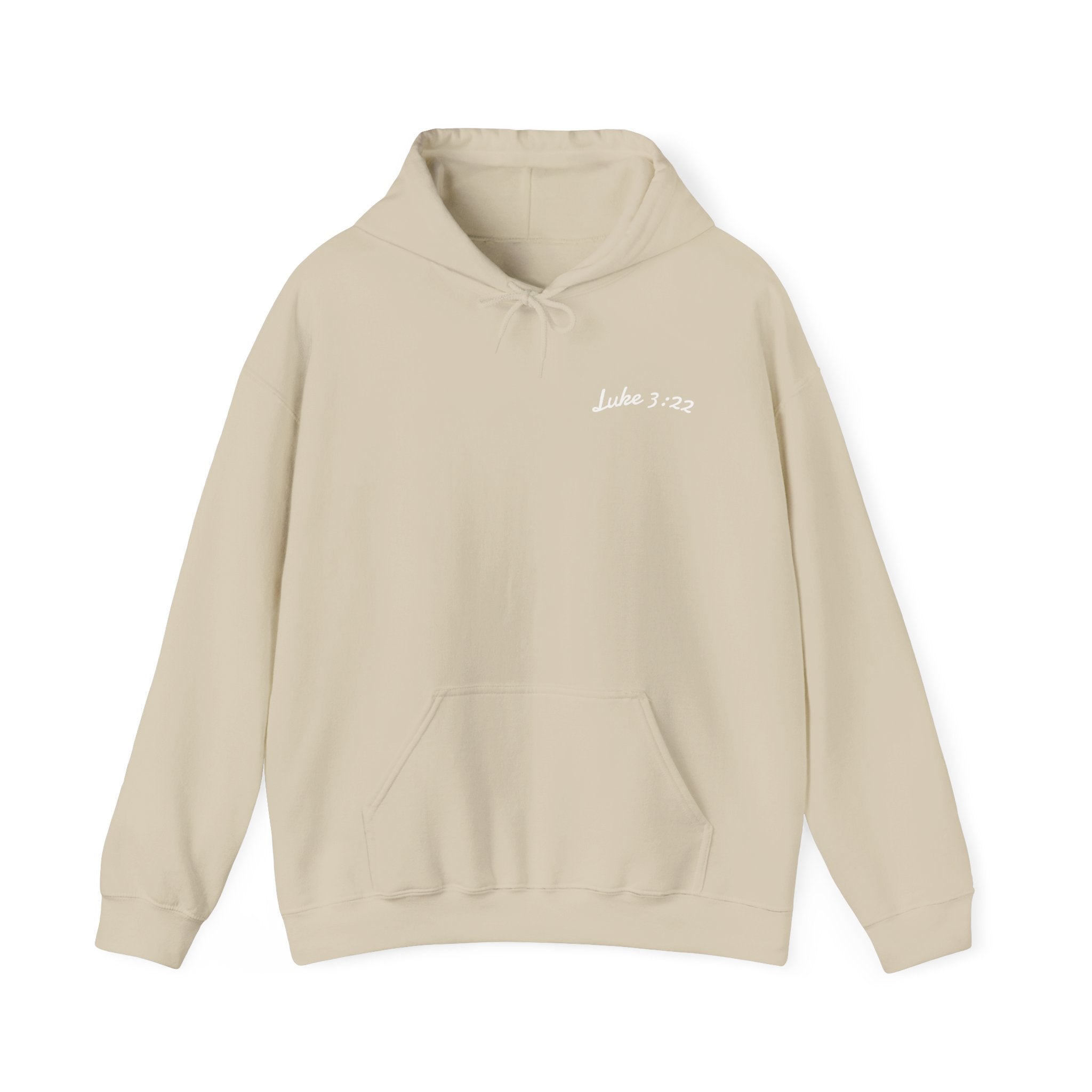 Luke 3:22 Hoodie unisex