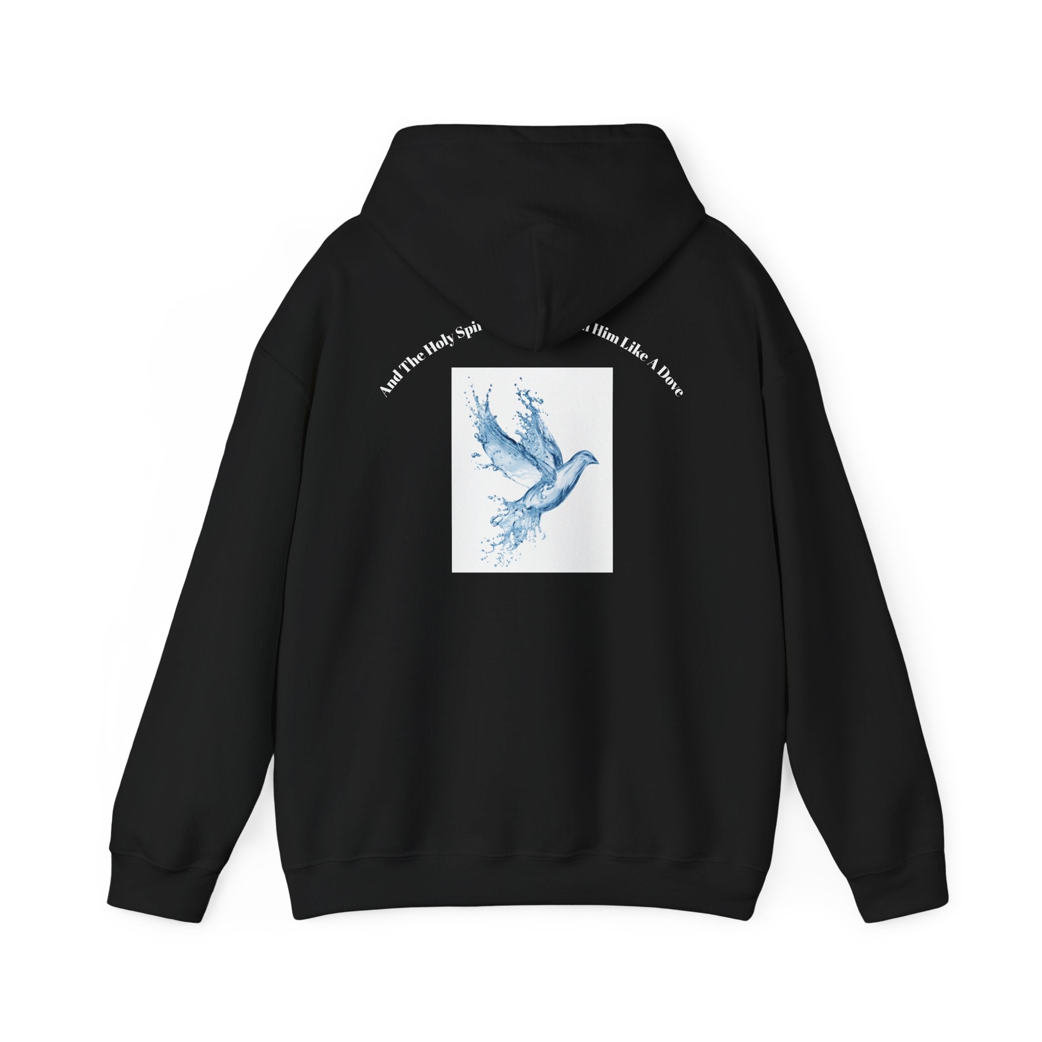 Luke 3:22 Hoodie unisex